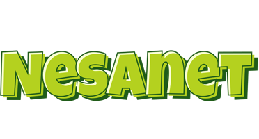 Nesanet summer logo