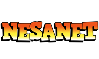 Nesanet sunset logo