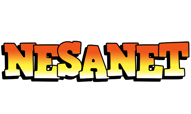 Nesanet sunset logo