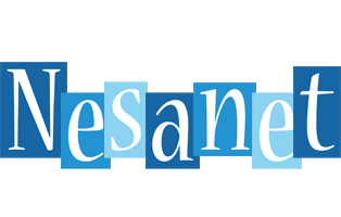 Nesanet winter logo