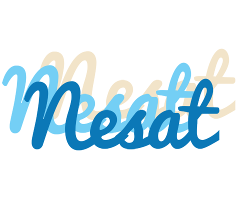 Nesat breeze logo