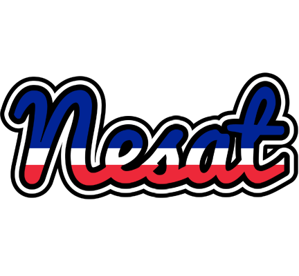 Nesat france logo
