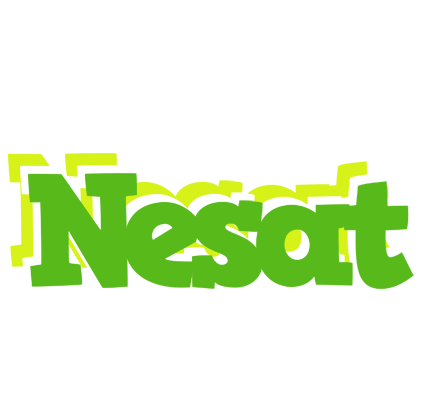 Nesat picnic logo