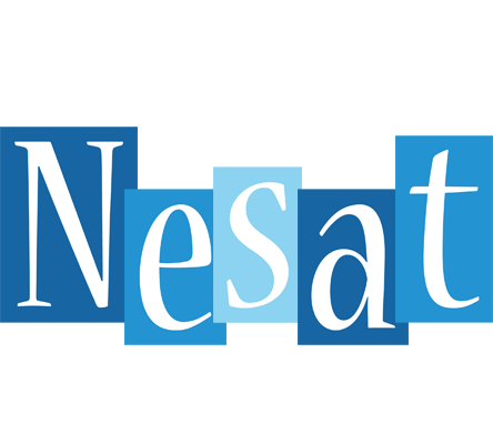 Nesat winter logo