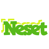 Neset picnic logo