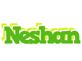 Neshan picnic logo