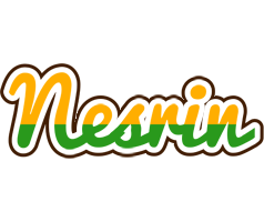 Nesrin banana logo