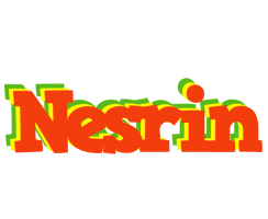 Nesrin bbq logo