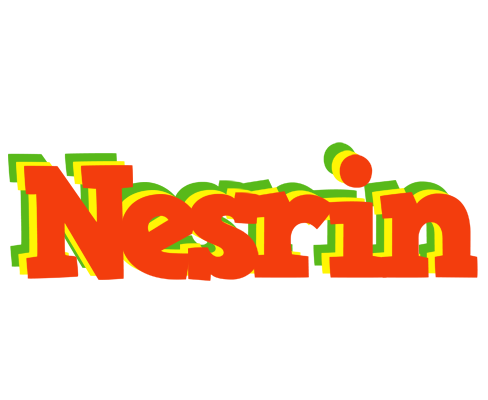 Nesrin bbq logo