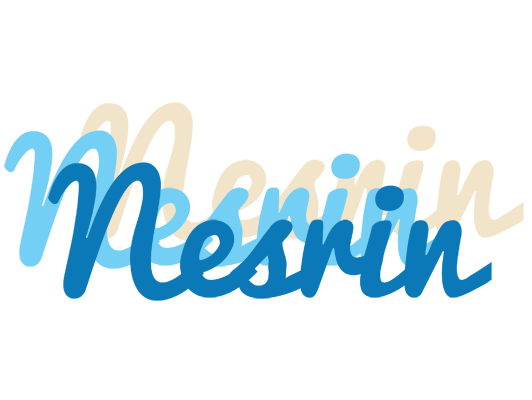 Nesrin breeze logo