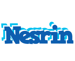 Nesrin business logo