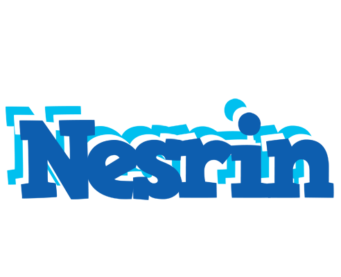 Nesrin business logo