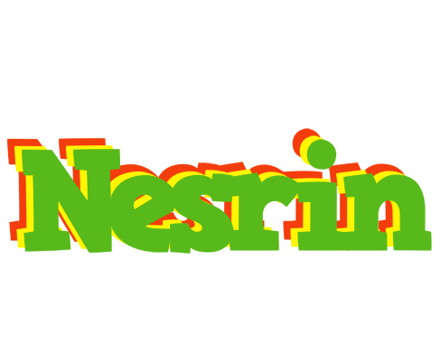 Nesrin crocodile logo