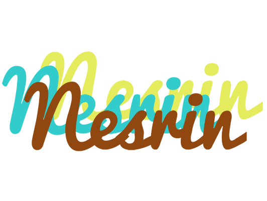 Nesrin cupcake logo