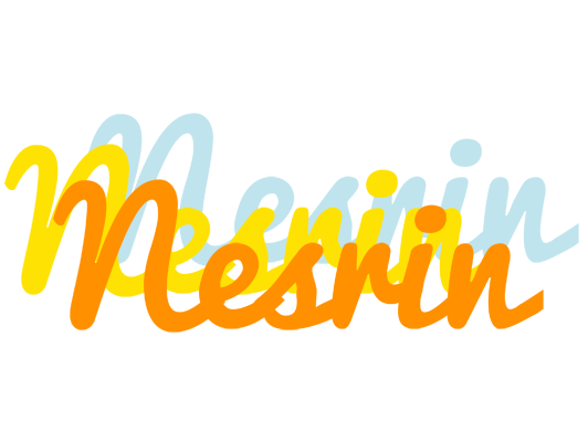 Nesrin energy logo