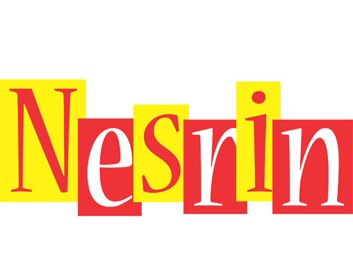 Nesrin errors logo