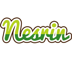 Nesrin golfing logo