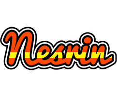 Nesrin madrid logo