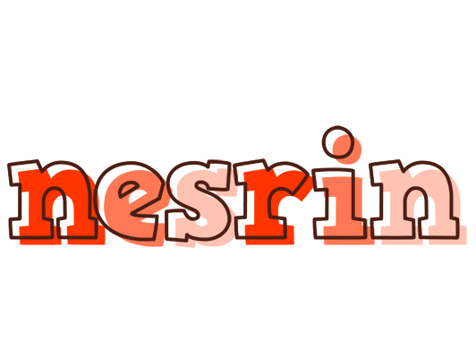 Nesrin paint logo