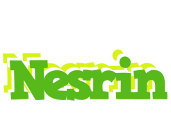 Nesrin picnic logo