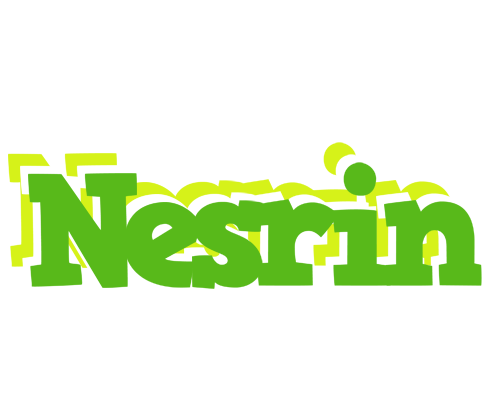 Nesrin picnic logo