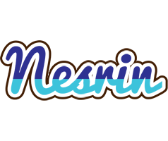 Nesrin raining logo