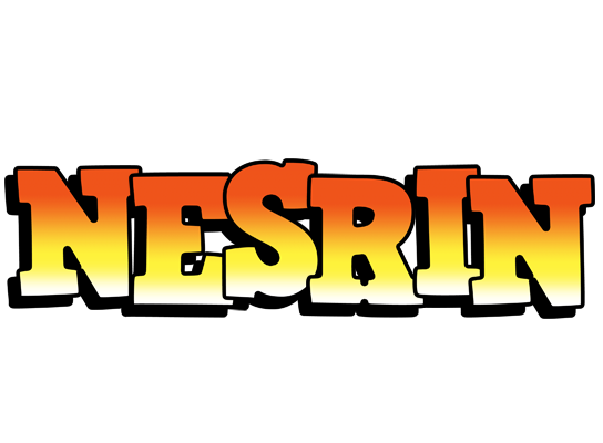Nesrin sunset logo