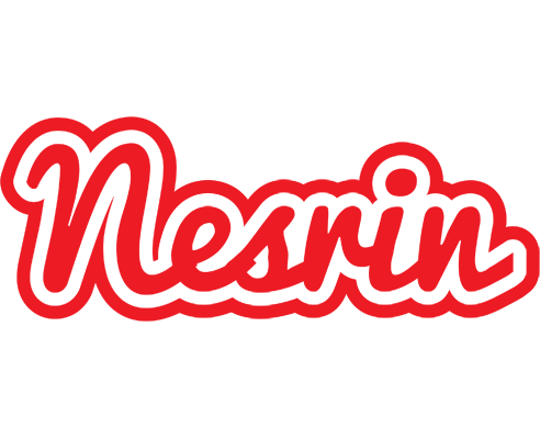 Nesrin sunshine logo