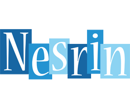 Nesrin winter logo