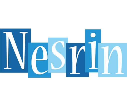Nesrin winter logo