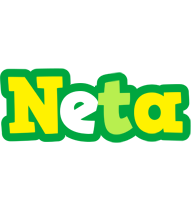 Neta soccer logo