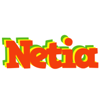 Netia bbq logo