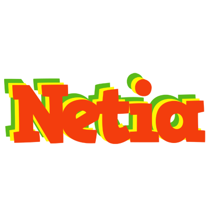 Netia bbq logo