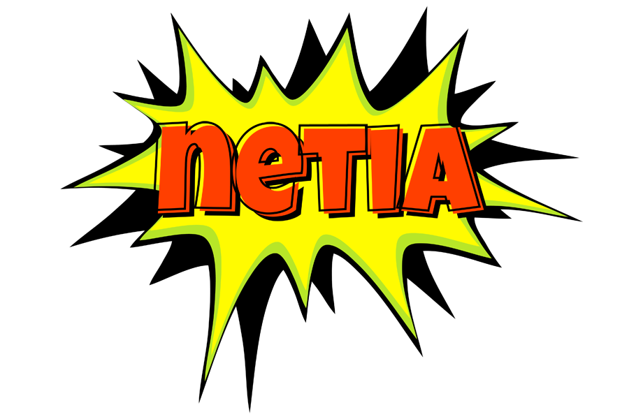 Netia bigfoot logo