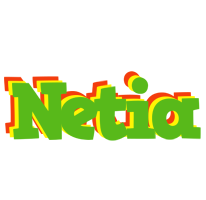 Netia crocodile logo