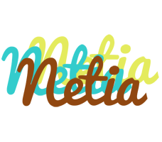 Netia cupcake logo