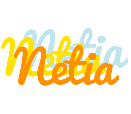 Netia energy logo