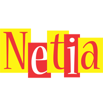 Netia errors logo