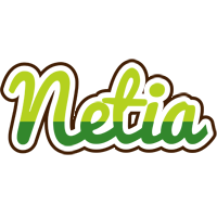 Netia golfing logo