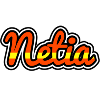 Netia madrid logo