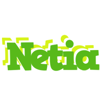 Netia picnic logo