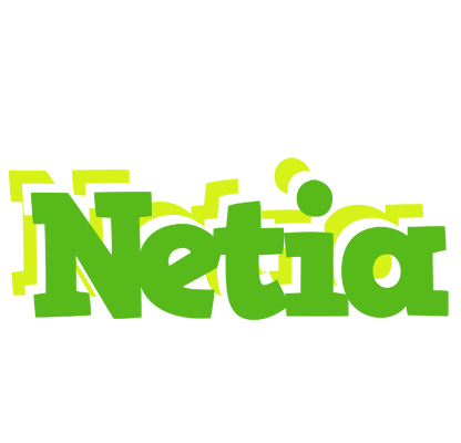Netia picnic logo