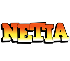 Netia sunset logo