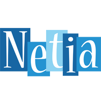 Netia winter logo