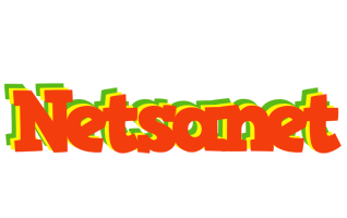 Netsanet bbq logo