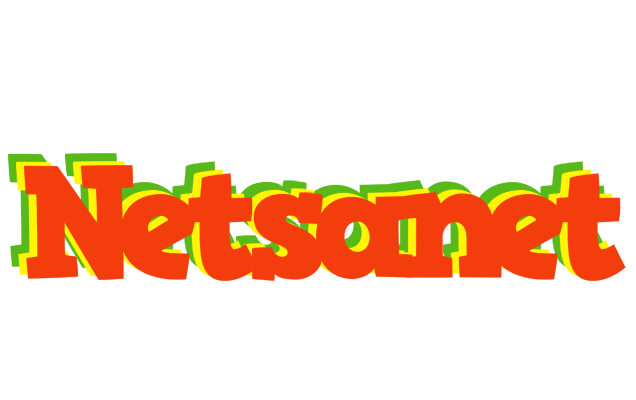 Netsanet bbq logo