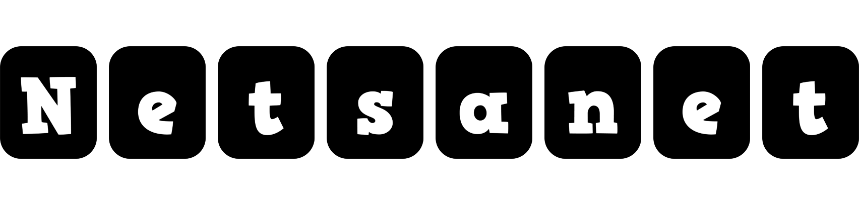 Netsanet box logo
