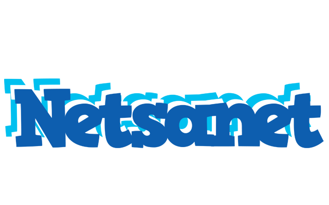Netsanet business logo