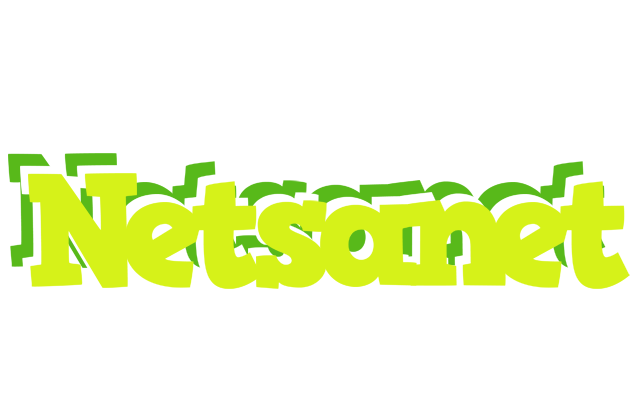 Netsanet citrus logo