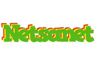 Netsanet crocodile logo